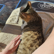 фото из отзыва ID 2731383