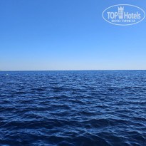 фото из отзыва ID 2731383