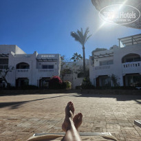 фото из отзыва ID 2731383