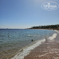 фото из отзыва ID 2731383