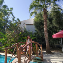 фото из отзыва ID 2731387