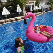 фото из отзыва ID 2731387