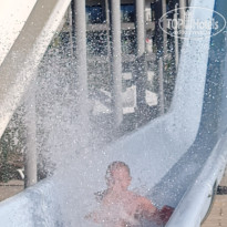 фото из отзыва ID 2731387