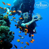 фото из отзыва ID 2731409