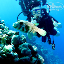 фото из отзыва ID 2731409