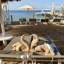 фото из отзыва ID 2731409