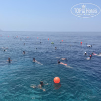 фото из отзыва ID 2731409