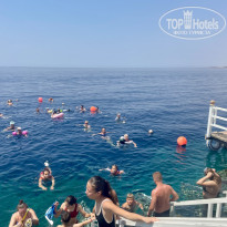 фото из отзыва ID 2731409