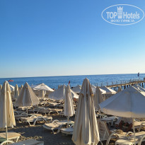 фото из отзыва ID 2731425