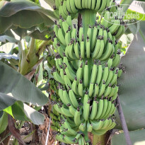 фото из отзыва ID 2731425