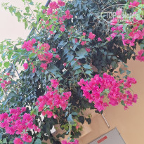 фото из отзыва ID 2731425