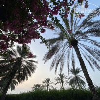 фото из отзыва ID 2731429