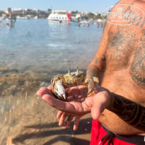 фото из отзыва ID 2731428