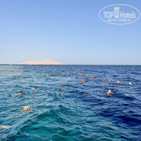 фото из отзыва ID 2731409