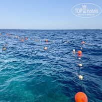 фото из отзыва ID 2731409