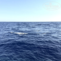 фото из отзыва ID 2731409