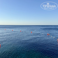 фото из отзыва ID 2731409