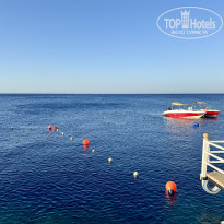 фото из отзыва ID 2731409