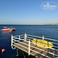 фото из отзыва ID 2731409