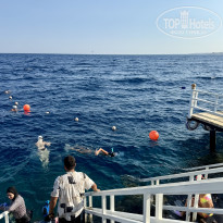 фото из отзыва ID 2731409