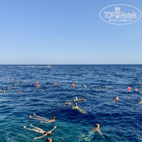 фото из отзыва ID 2731409