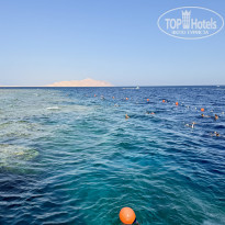 фото из отзыва ID 2731409