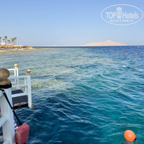 фото из отзыва ID 2731409