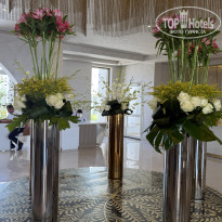 фото из отзыва ID 2731409