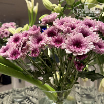 фото из отзыва ID 2731409