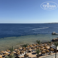 фото из отзыва ID 2731409