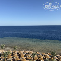 фото из отзыва ID 2731409