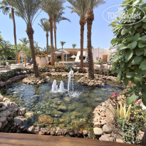 фото из отзыва ID 2731428