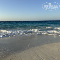 фото из отзыва ID 2731439