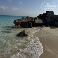 фото из отзыва ID 2731439