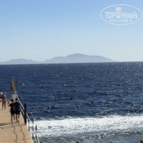 фото из отзыва ID 2731458