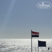 фото из отзыва ID 2731458