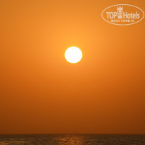 фото из отзыва ID 2731467