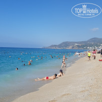 фото из отзыва ID 2731472