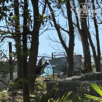 фото из отзыва ID 2731475