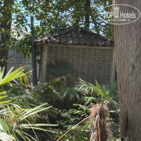 фото из отзыва ID 2731475