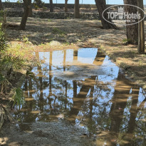 фото из отзыва ID 2731475