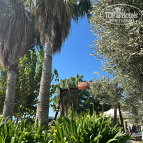 фото из отзыва ID 2731479