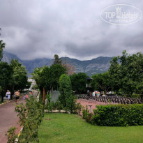 фото из отзыва ID 2731484