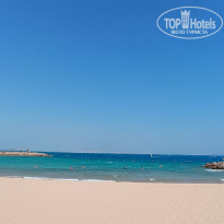 фото из отзыва ID 2731506