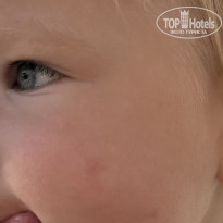 фото из отзыва ID 2731521