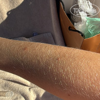 фото из отзыва ID 2731521