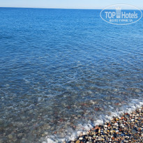 фото из отзыва ID 2731530