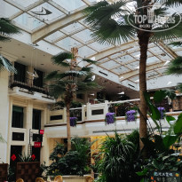 фото из отзыва ID 2731550