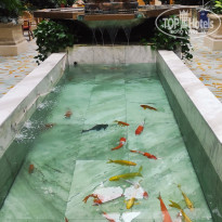 фото из отзыва ID 2731550