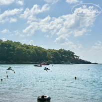 фото из отзыва ID 2731542